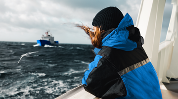 Bulk annuities: Who should steer the ship?